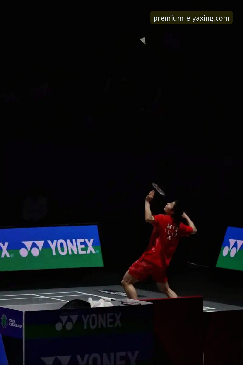 从石宇奇夺冠看竞技体育的“稳定性”与“爆发力”：一次亚星体育平台的深度观赛评测