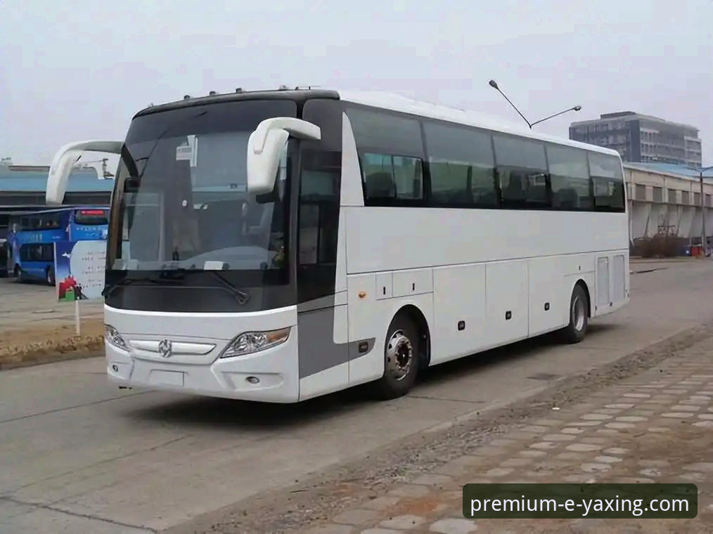 亚星体育平台 vs 亚星客车官网：哪个更值得关注？