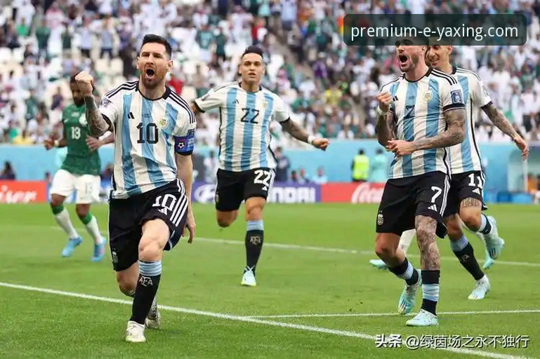 揭秘阿根廷世界杯征程背后的隐痛：一位资深球迷在亚星体育平台的深度观察